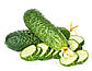 Огірок Атлантіс F1, 20 шт (Leda Agro), фото 4