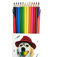 Олівці кольорові Kite №22-051-1 12штук "Dogs"