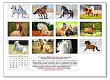 Календар 2026 Колаж, настінний перекидний 320*240 Коні, фото 3