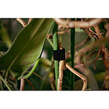 Багатофункціональна стрічка, Т рулон на липучці, 25 мм х 2 м, чорний, TYHLT25002/BK, фото 3