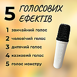 Колонка караоке, портативна колонка з мікрофоном, музикальна колонка блютуз Hechpro (M6544), фото 2