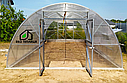 Теплиця Ельдорадо 5х10 під полікарбонат 10 мм стандарт (оцинкована труба 25х25 крок 1 метр), фото 5