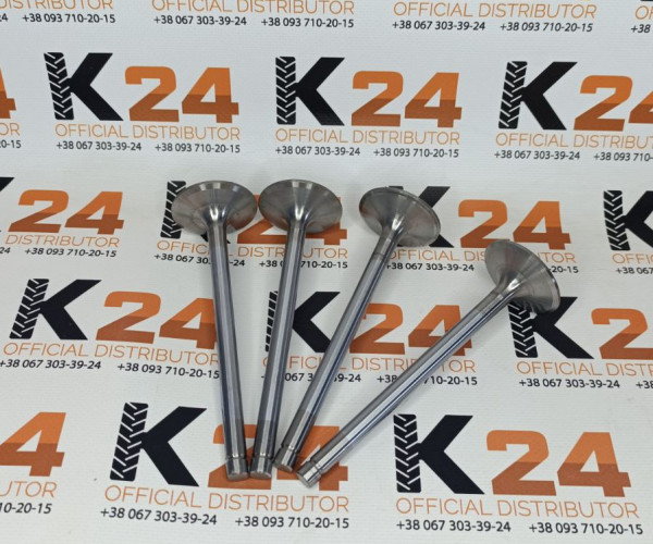 Впускний клапан R.010001Y 240100007098