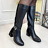 Жіночі чоботи на стійких підборах. Натуральна шкіра та замша чорного кольору, фото 2