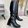 Жіночі чоботи на стійких підборах. Натуральна шкіра та замша чорного кольору, фото 5