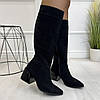 Чоботи жіночі замшеві на стійкому підборі. Колір чорний, фото 3