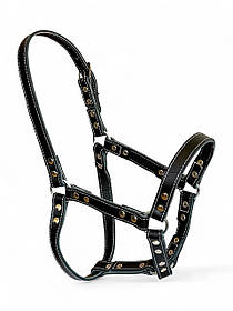 Недоуздок для коня шкіряний подвійний. Недоуздок Horse Stall для коней.