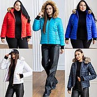 Жіночі зимові куртки 12Д3-мк Жіноча стьобана коротка куртка єврозиму з капюшоном