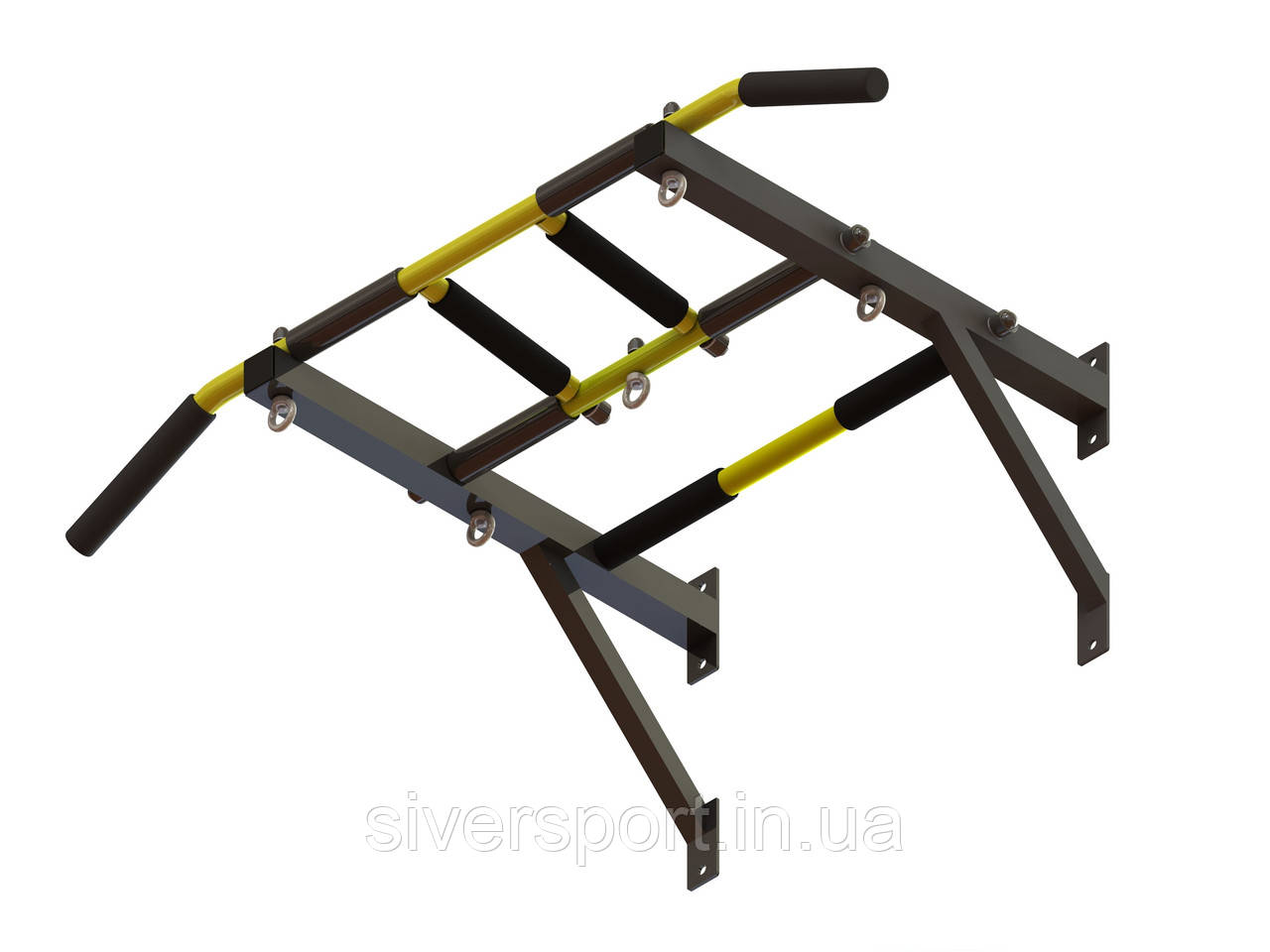 Турнік настінний з рукоходом SW-402, фото 1