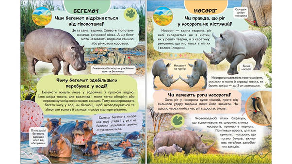 Енциклопедія Дикі тварини. Звички і спосіб життя, фото 4