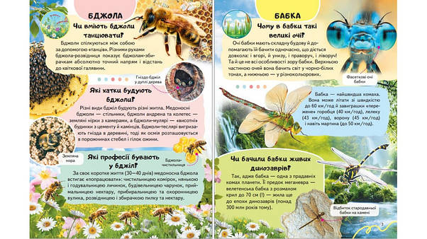 Енциклопедія Комахи та інші. Життя маленьких істот, фото 3