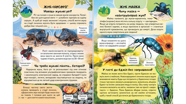 Енциклопедія Комахи та інші. Життя маленьких істот, фото 4