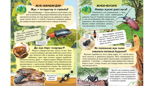 Енциклопедія Комахи та інші. Життя маленьких істот, фото 5