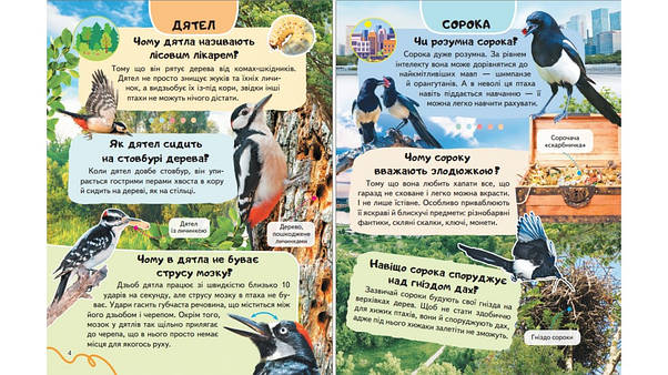 Енциклопедія Птахи. Співці, авіатори, майстри, мисливці, фото 2