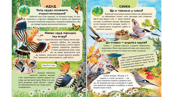 Енциклопедія Птахи. Співці, авіатори, майстри, мисливці, фото 4