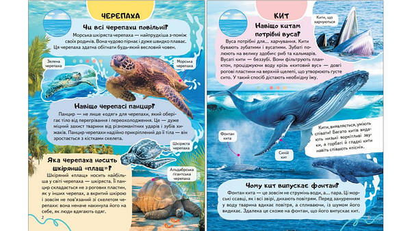 Енциклопедія Водного світу. Від медуз до китів, фото 2