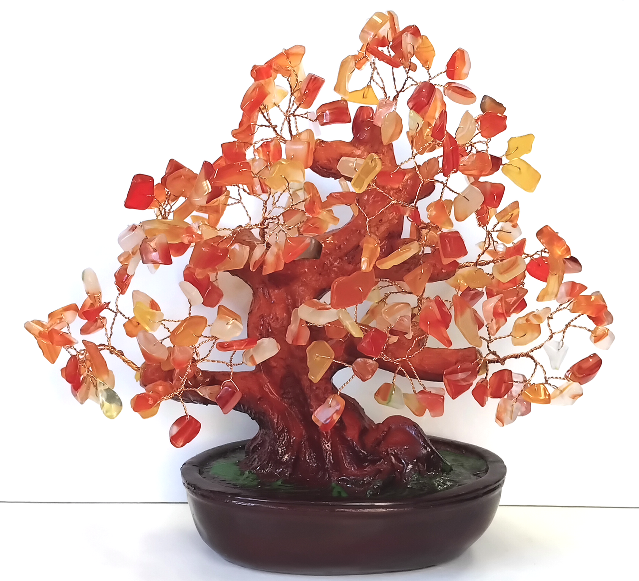 Грошове дерево помаранчеве 21 см, фото 1