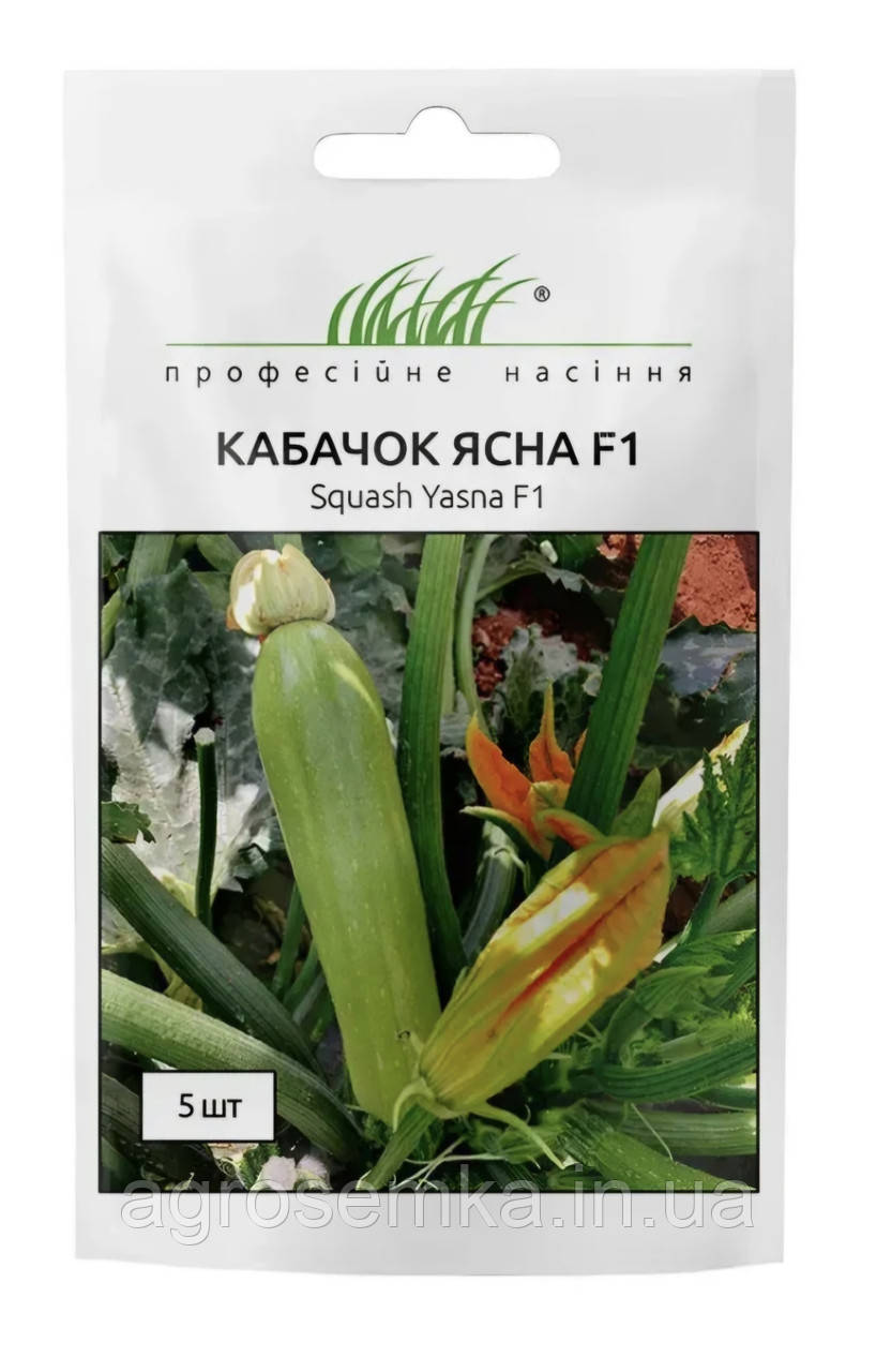 Кабачок Ясна F1 5шт / Clause, фото 1