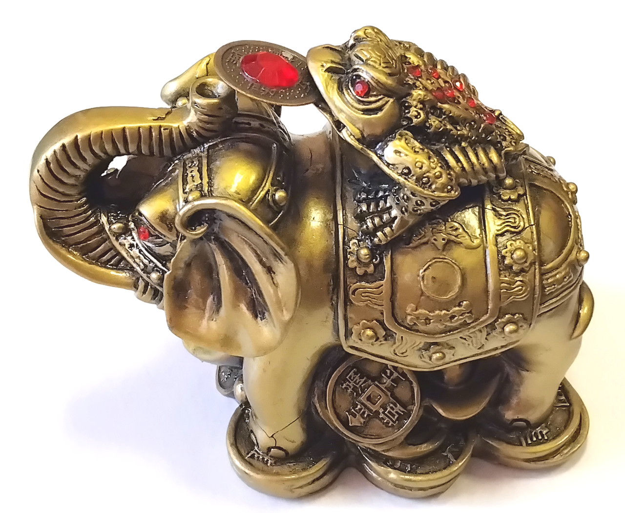 Грошова жаба на слоні, фото 1