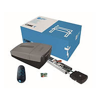 Автоматика CAME VER-08 для секційних воріт