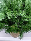 Ялинка новорічна штучна лита Pine Mini в мішковині 90 см зелена, фото 4