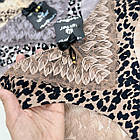 Жіночі трусики Lady Part #2015, фото 5