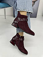 Ботильйони жіночі Battine B5073-WineRed комбіновані замшеві 36, фото 3
