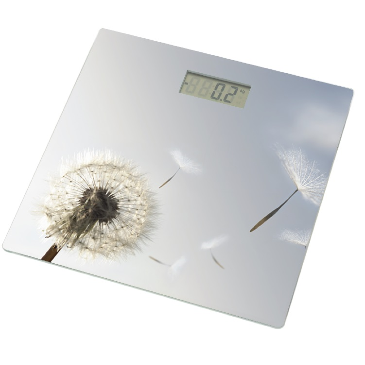 Grunhelm BES-BLG Ваги (для ванної), фото 1