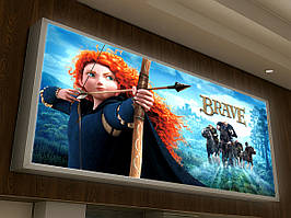 Світлова вивіска в алюмінієвому корпусі (Нанесення плівки: ORACAL 641 серії 1 шар;  Ламінація: Без ламінації;)