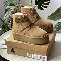 UGG Neumel Platform Chukka Chestnut