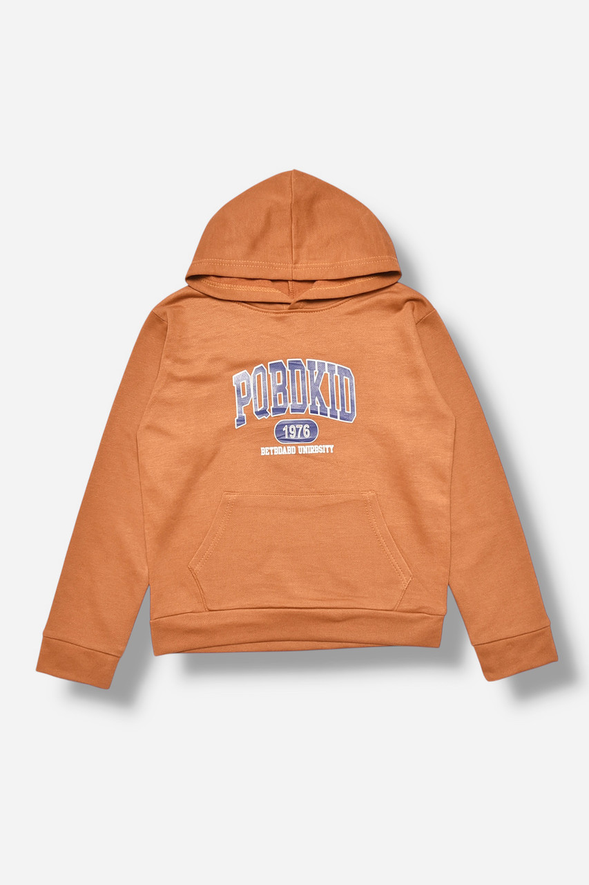 Світшот дитячий для хлопчика на флісі коричневого кольору 205990M, фото 1