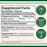 Double Wood Saffron extract 88,5 мг, 210 капсул, Екстракт шафрану – засіб для зору, концентрації., фото 4