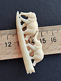 Слонова кістка брошка "Слон". Прикраса зі слонової кістки. Слонова кістка. Вінтаж., фото 5
