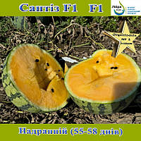 Кавун жовтий, ультра-ранній, Сантіз F1, ТМ Libra Seeds