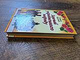 Книга Звичаї українського народу Олекса Воропай, фото 5