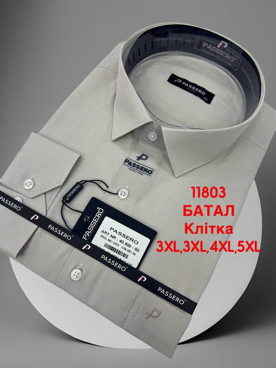 Батальна сорочка в мілку клітку Passero mod -40600/color 10