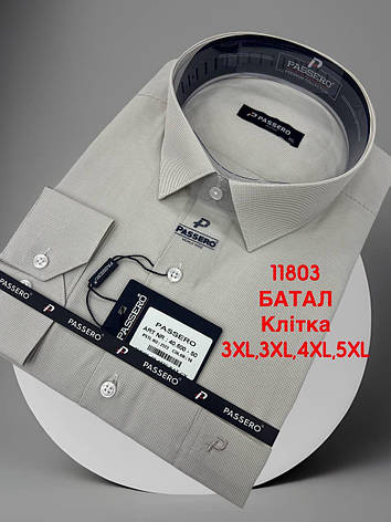Батальна сорочка в мілку клітку Passero mod -40600/color 10, фото 1