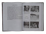 Книга 3. БРАТА АДАМА: БАКФАСТ. Пошук найкращих ліній бджіл, фото 4