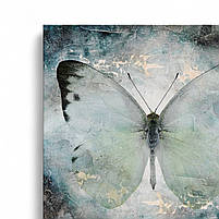 Картина метелик у спокійних пастельних блакитних кольорах Декор для спальні Друк на полотні 40х40см, фото 4