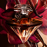 Парфумована вода для жінок Lancôme La Nuit Vanilla Noire Eau De Parfum 1.2 мл Пробник, фото 3