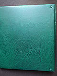 Тематичний альбом для монет Нідерландів 1948-1980, фото 10