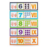 Пазл-сортер "SMART СЧЕТ" Розвивальна дерев'яна іграшка (ПСФ097), фото 4