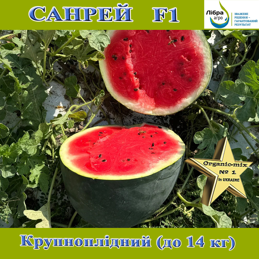 Кавун крупноплідний чорний, Санрей F1, ТМ Libra Seeds, 1000 насінин, фото 1