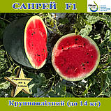 Кавун крупноплідний чорний, Санрей F1, ТМ Libra Seeds, 1000 насінин, фото 2