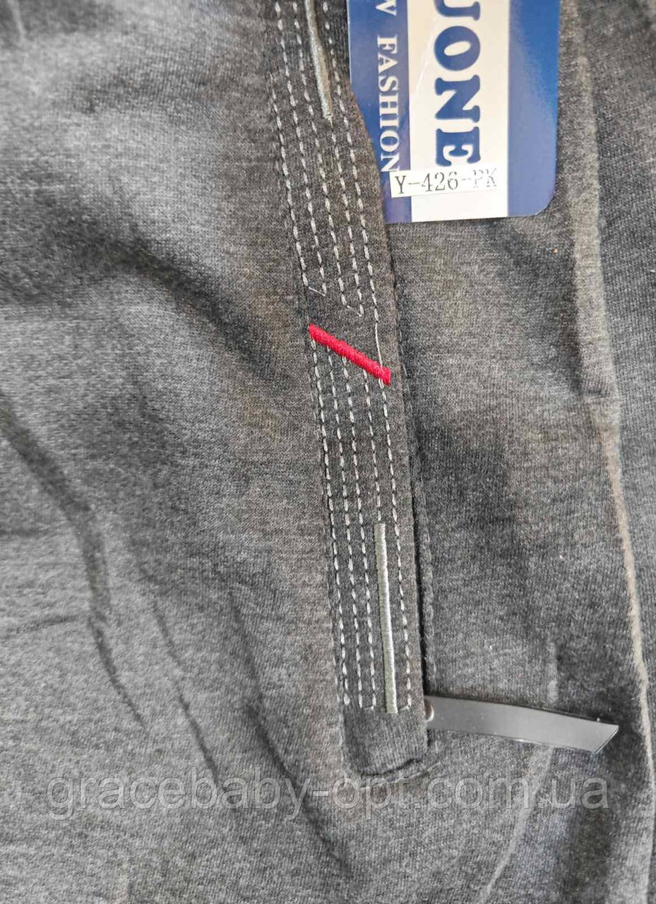 Спортивні штани чоловічі оптом, 4XL-9XL рр, No Hay-Y-426, фото 1