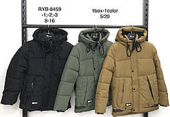 Оптом підліткові куртки для хлопчиків NATURE.