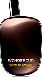 Парфумована вода унісекс Comme des Garcons Wonderoud Eau De Parfum 100 мл, фото 2