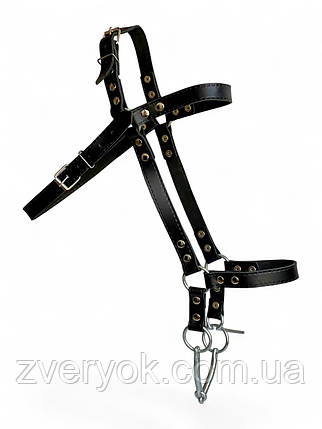 Вуздечка для коня Horse Stall шкіряна. Вуздечки для коня з трензелем., фото 1