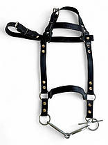 Вуздечка для коня Horse Stall шкіряна. Вуздечки для коня з трензелем., фото 3