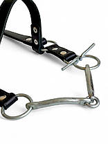 Вуздечка для коня Horse Stall шкіряна. Вуздечки для коня з трензелем., фото 5